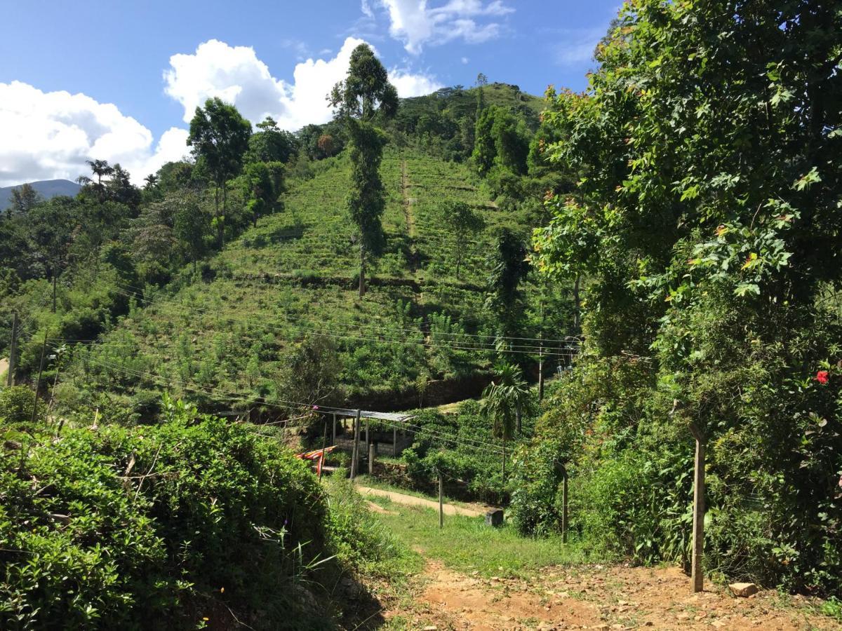 Rohana Estate Lodging & Camping Kandy Exterior photo