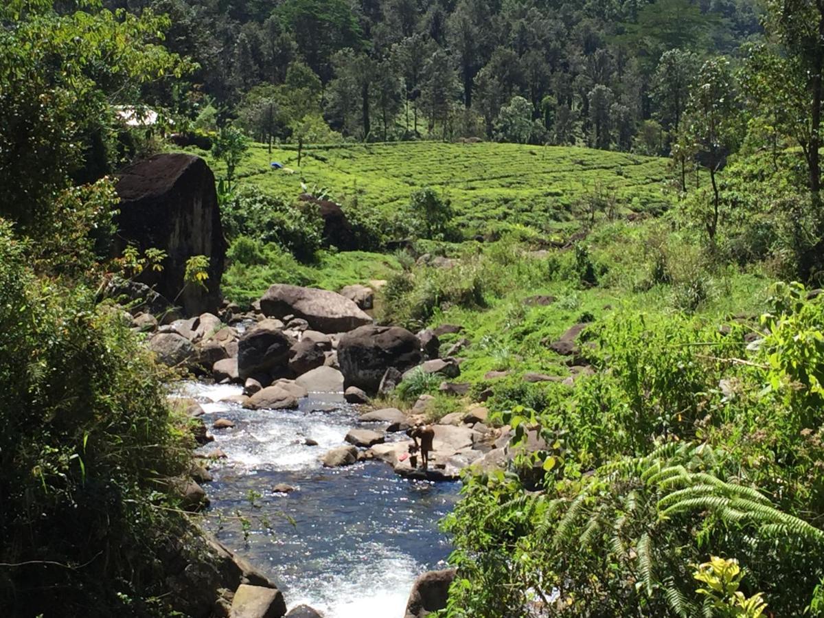 Rohana Estate Lodging & Camping Kandy Exterior photo