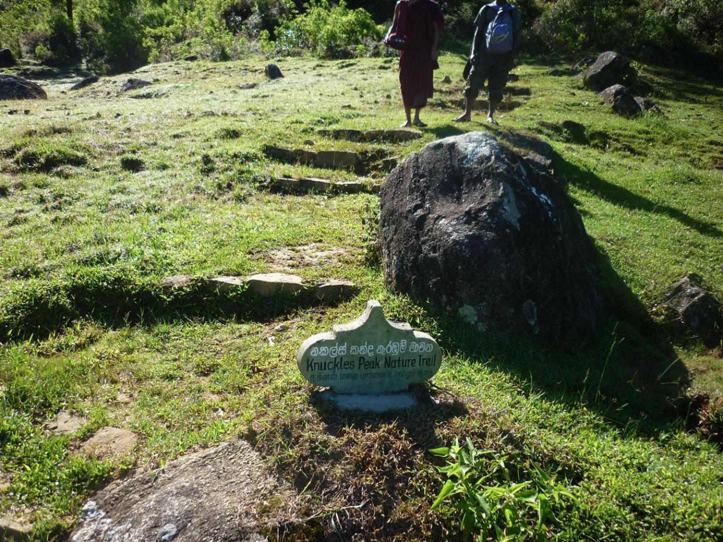 Rohana Estate Lodging & Camping Kandy Exterior photo