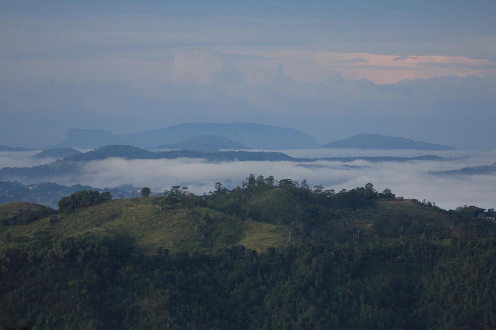 Rohana Estate Lodging & Camping Kandy Exterior photo