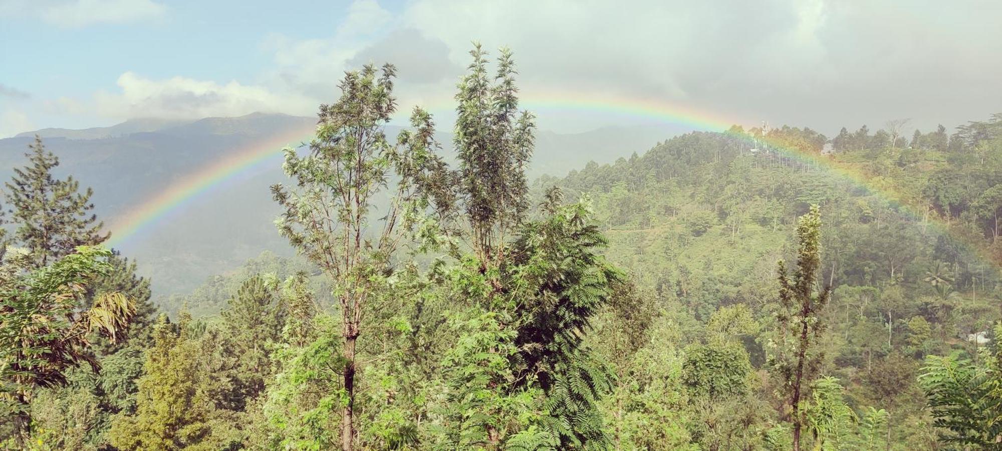 Rohana Estate Lodging & Camping Kandy Exterior photo
