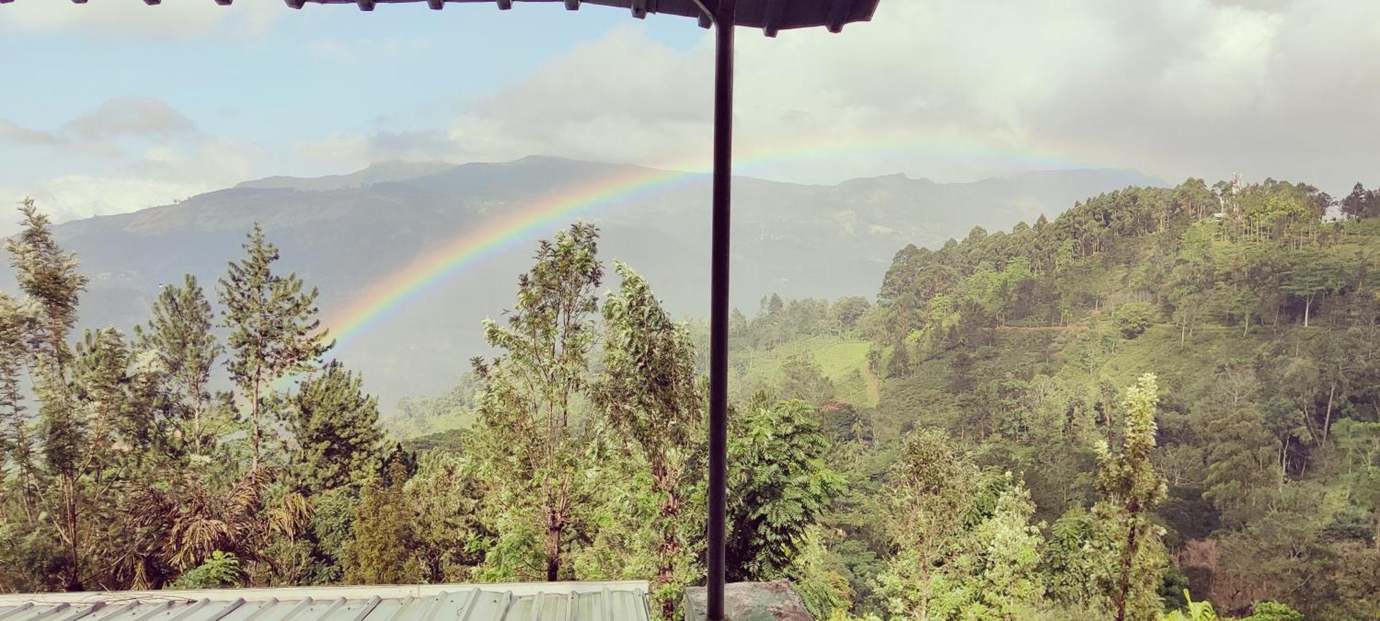 Rohana Estate Lodging & Camping Kandy Exterior photo